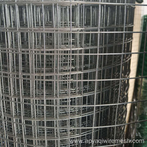 1/4 inch PVC Coated/Galvanized Welded Wire Mesh